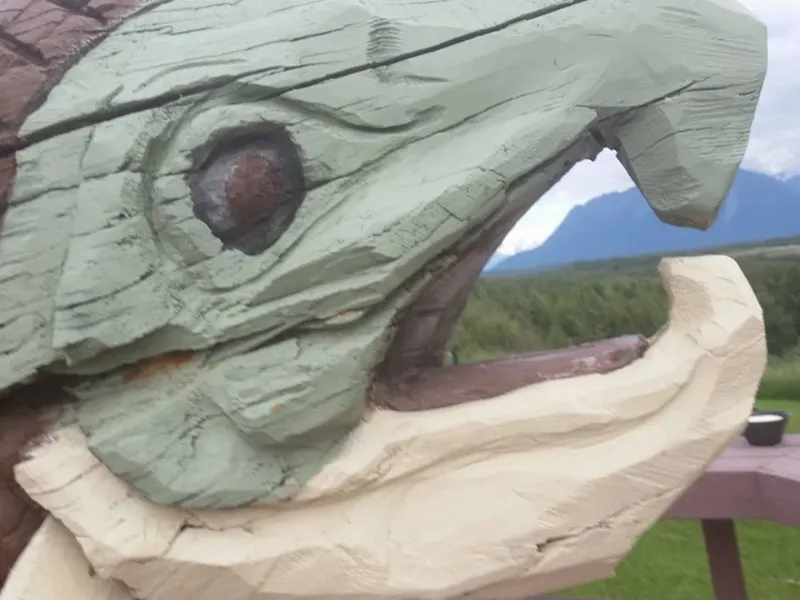 pioneer ridge bed and breakfast inn views 11