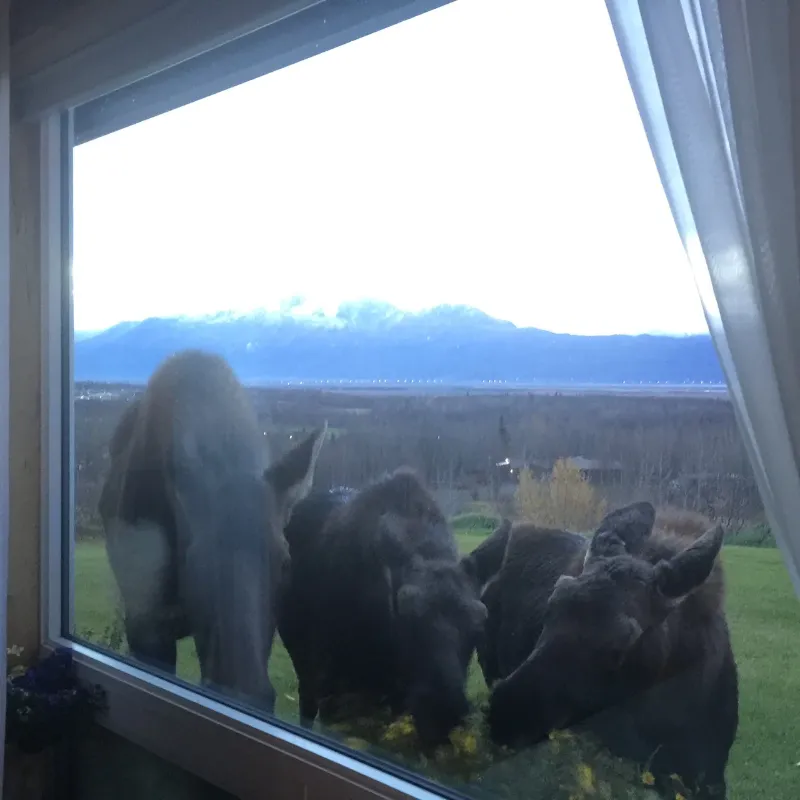 pioneer ridge bed and breakfast inn views 34