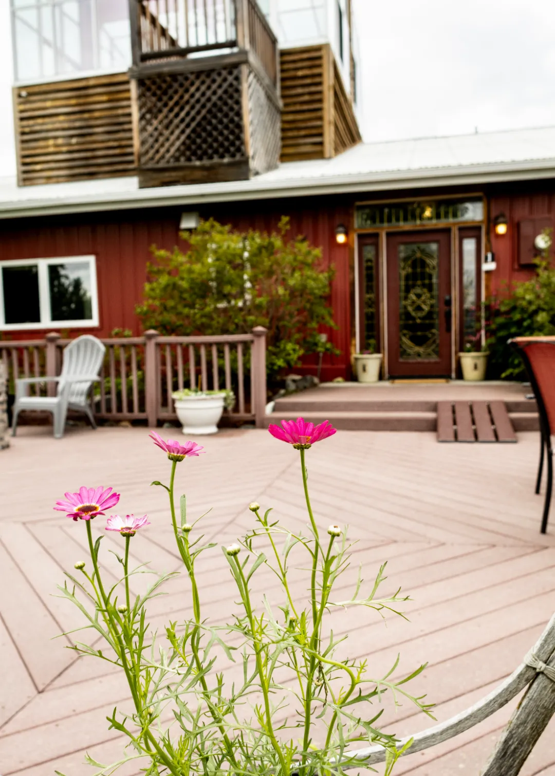 close up flowers blurred background image pioneer ridge bed and breakfast inn