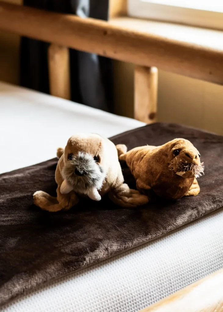 pioneer ridge bed and breakfast inn denali room 16