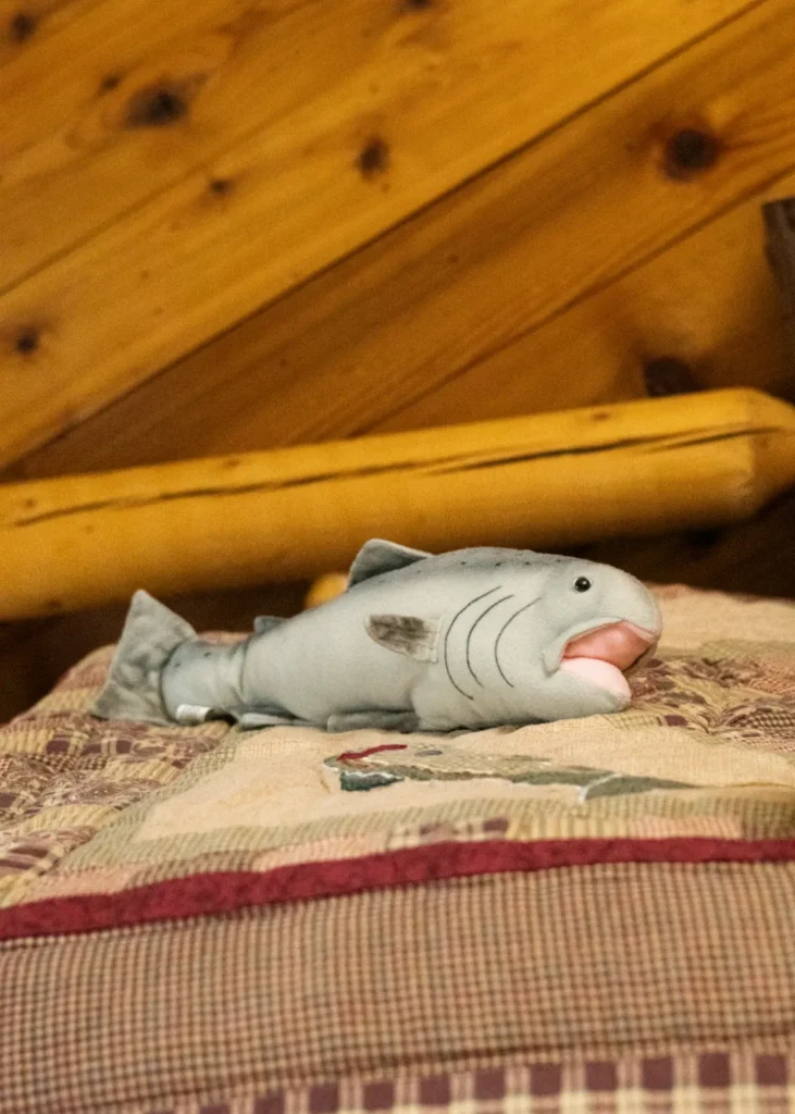 pioneer ridge bed and breakfast inn fishing room 23