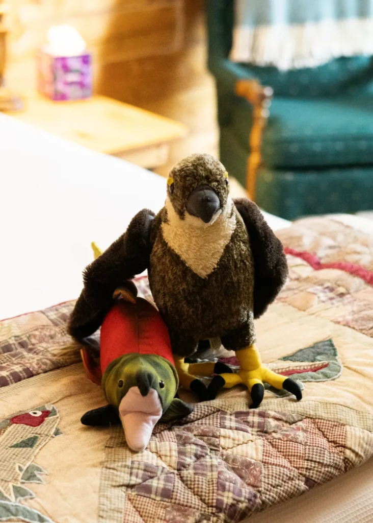 pioneer ridge bed and breakfast inn fishing room 25