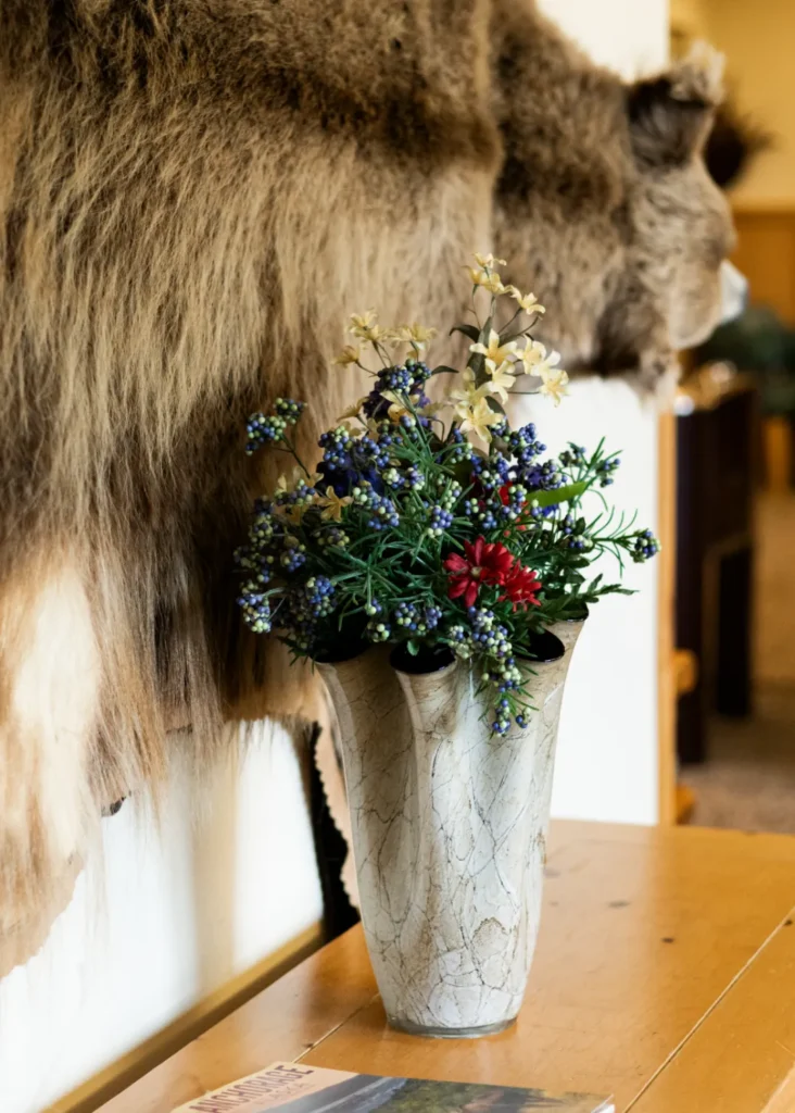 pioneer ridge bed and breakfast inn midnight sun gameroom 3