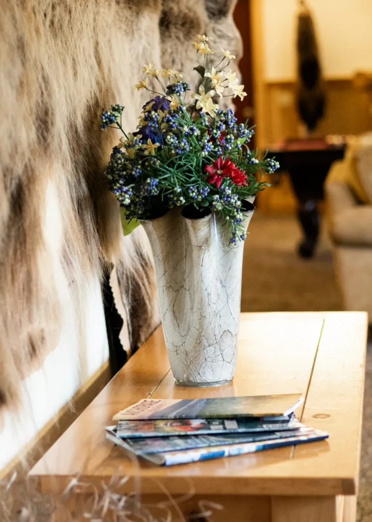 pioneer ridge bed and breakfast inn midnight sun gameroom 4