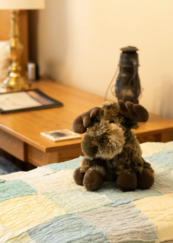 pioneer ridge bed and breakfast inn pioneer room 2