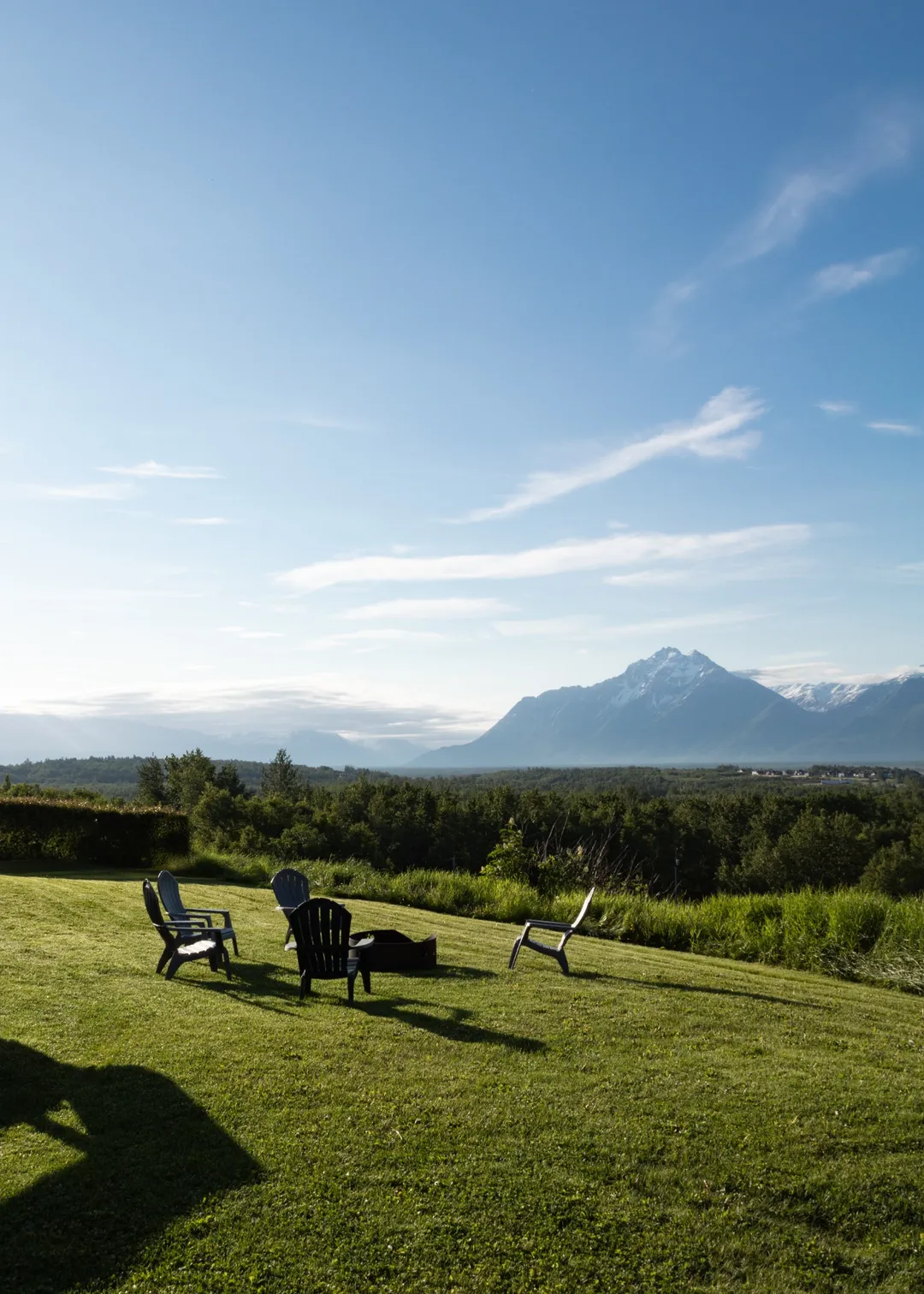blooming flowers planter close up
