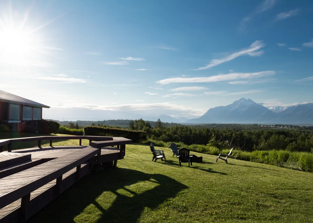 close up vibrant flowers planter