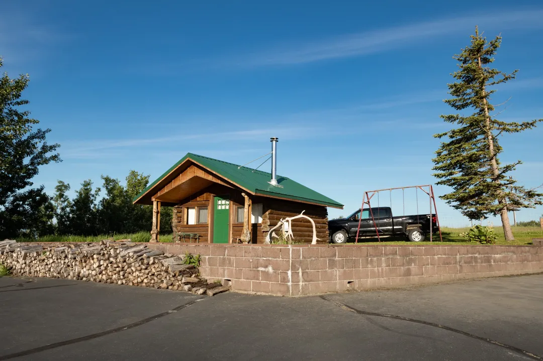 detailed blooming flowers