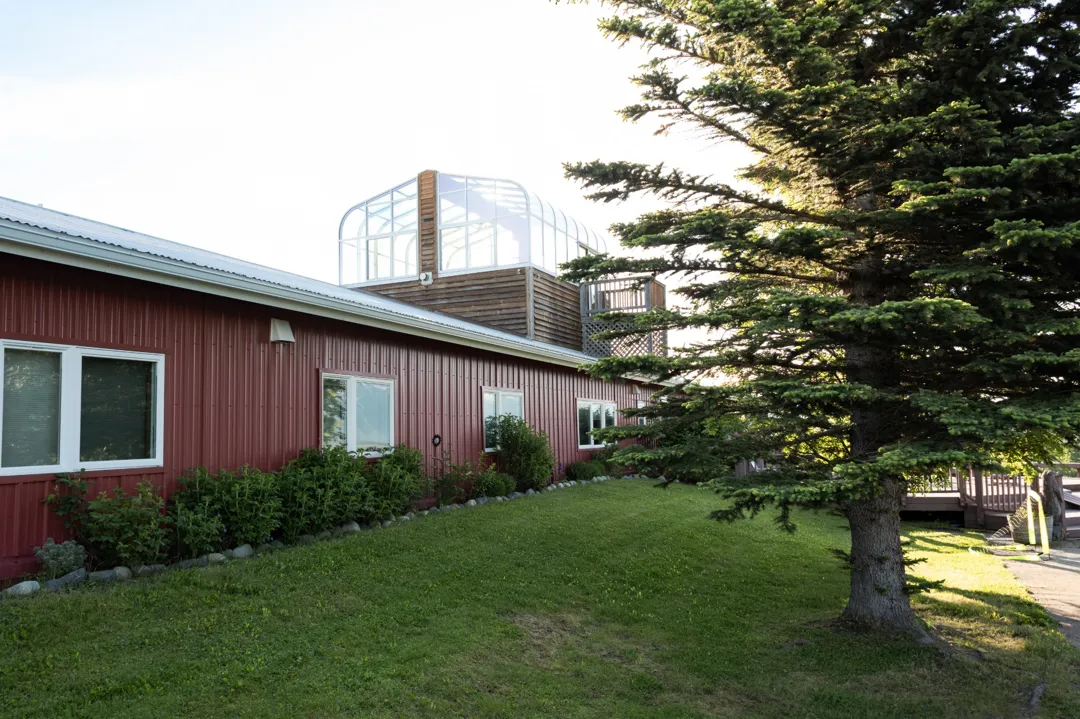 light purple lilacs red wall