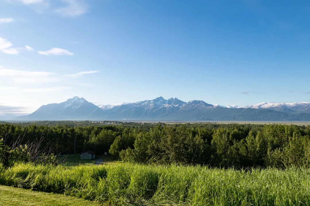 mountain view with forest in foreground
