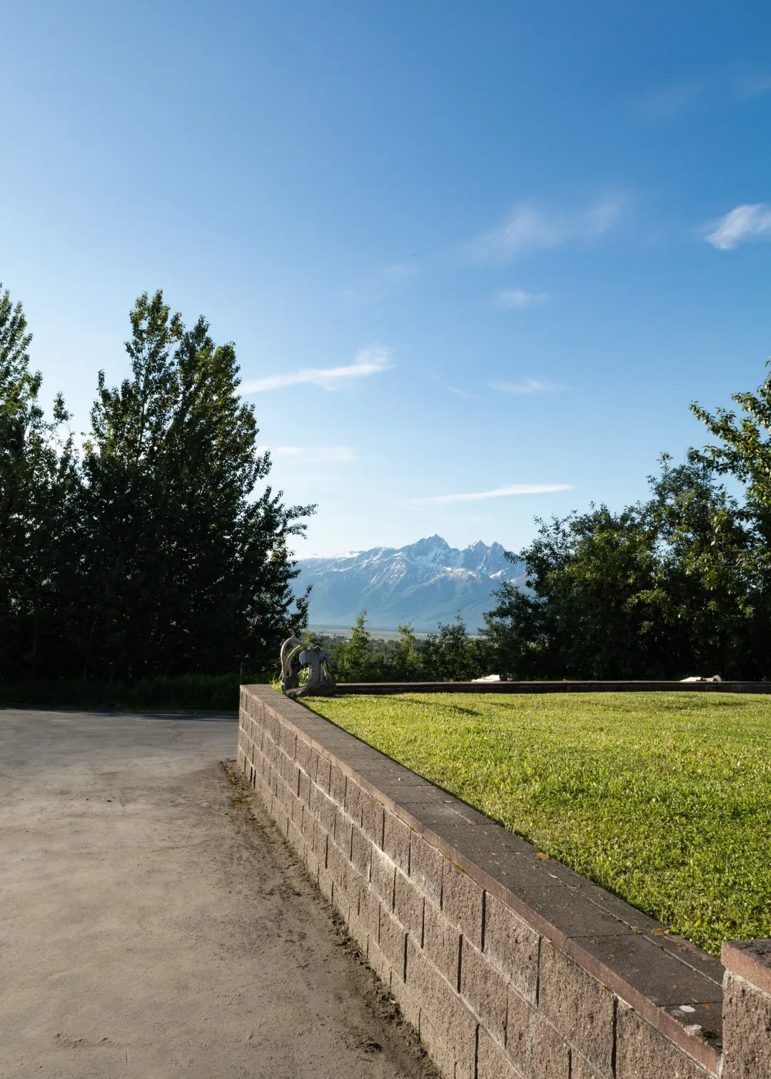 panoramic outdoor area large tree