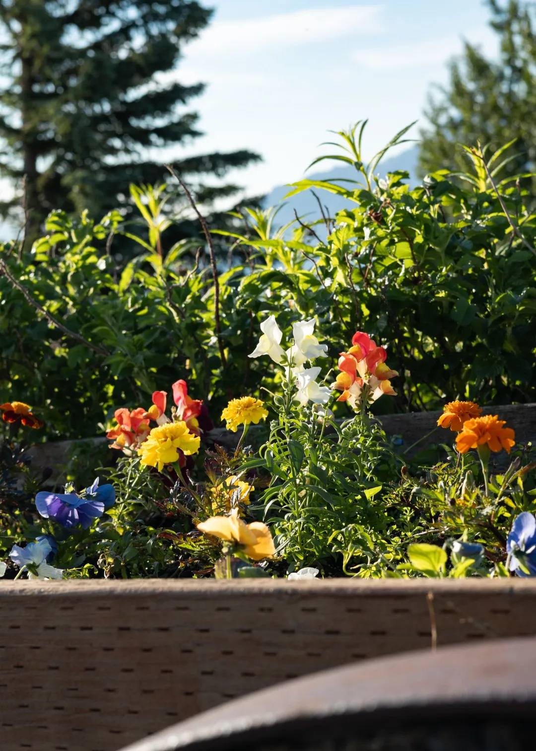 red building greenhouse