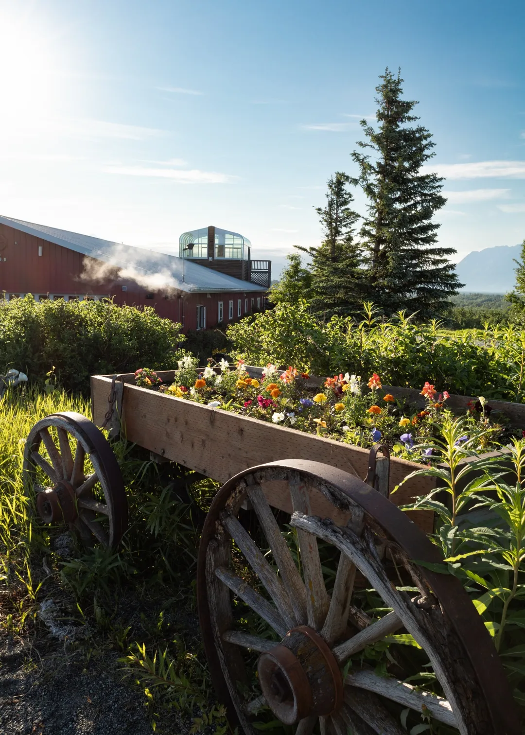 sunlit building glass structure