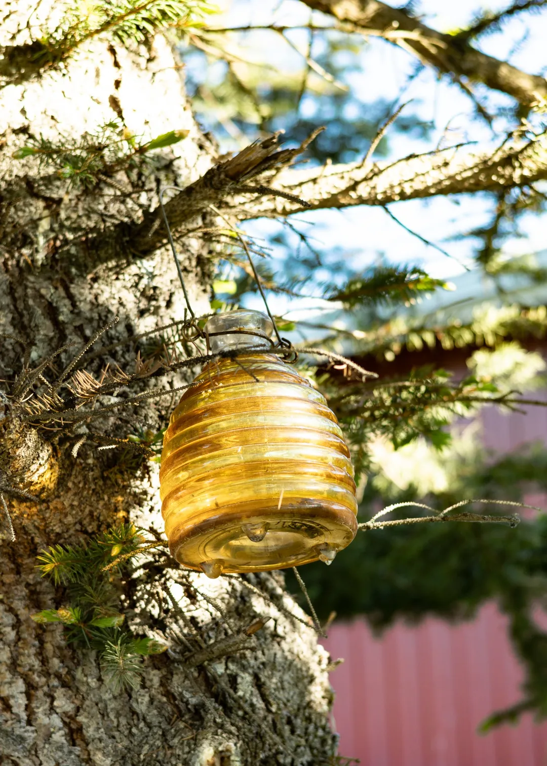 yellow glass lantern tree